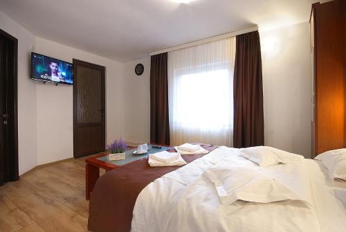 a bedroom with a bed and a table and a television at Casa Bamby in Slănic-Moldova