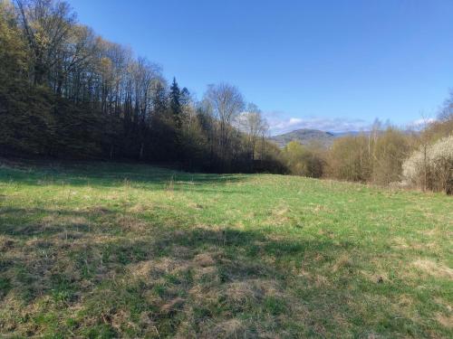 Pole namiotowe Genius