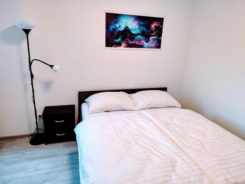 a bedroom with a bed and a picture on the wall at Apartment Zaklad Soče with hot tube and free parking in Bovec