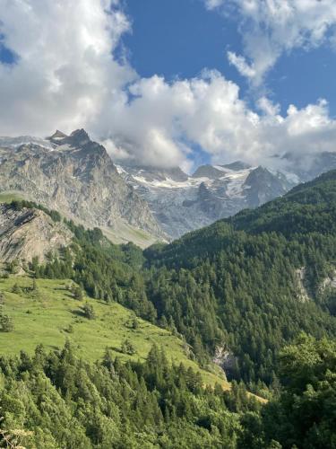 a view of a valley with mountains and trees at Chalet Pitu - 1-6 People in Vénosc