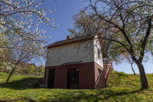 an old house on a hill in a field at Balatoni Présházikó in Szőlősgyörök