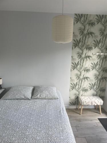 les aulnes de sanguinet lac et piste cyclable ,5mn à pied