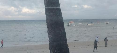 Naturlandskabet i nærheden af lejligheden