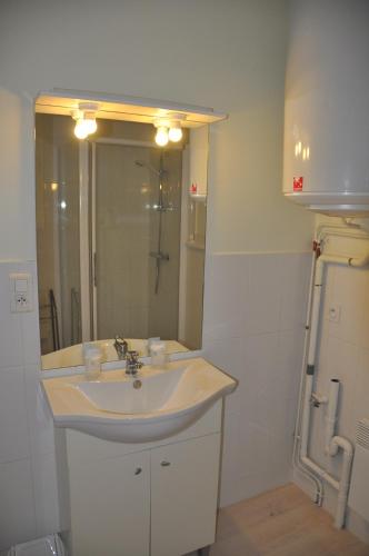une salle de bain avec un lavabo et un miroir dans l'établissement Appart'Hôtel de France, à La Tour-du-Pin