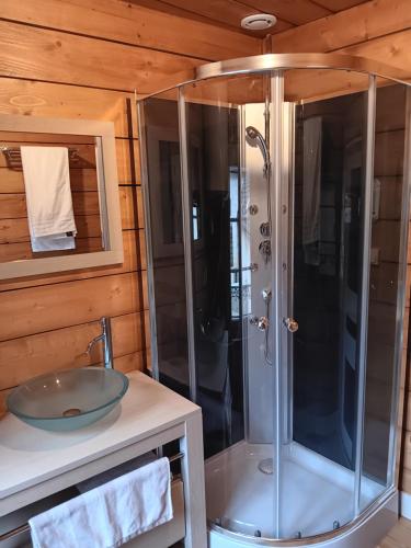 a shower in a bathroom with a sink at Le Thiers in Auxonne