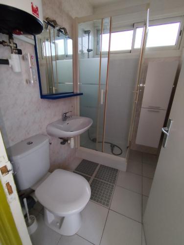une salle de bain avec toilettes, douche et lavabo dans l'établissement Appart en front de mer 1 chambre- parking -résidence le grand large, au Barcarès