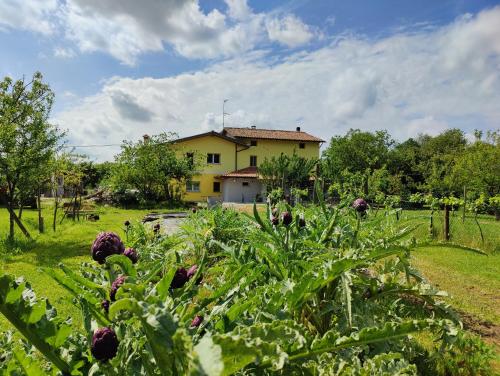 a garden with a house in the background at Casa Beuzer in Cividale del Friuli