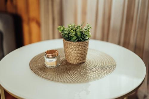 a plant sitting on top of a white table at Brakši Namiņš in Pērkone
