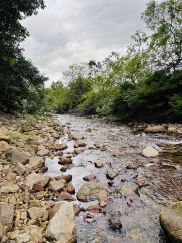 Landskap semula jadi dekat dengan chalet