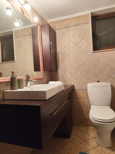 a bathroom with a sink and a toilet and a mirror at Green house in Chrisso in Khrisón