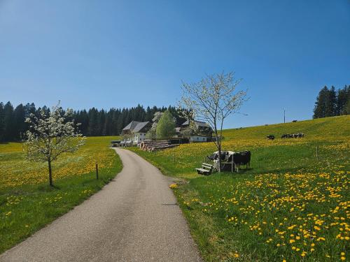 a dirt road in a field with cows in the grass at Lorenzenhäusle Titisee-Neustadt in Titisee-Neustadt
