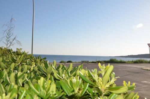 Imagen de la galería de FANTASTIC SARDINIA VILLETTE CON GIARDINO Fronte Mare Fertilia FAHO-GAV01-GAV02, en Fertilia