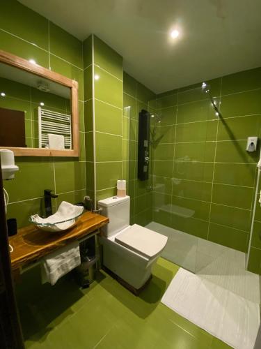a green bathroom with a toilet and a shower at Pensiunea El Monte SPA in Rucăr