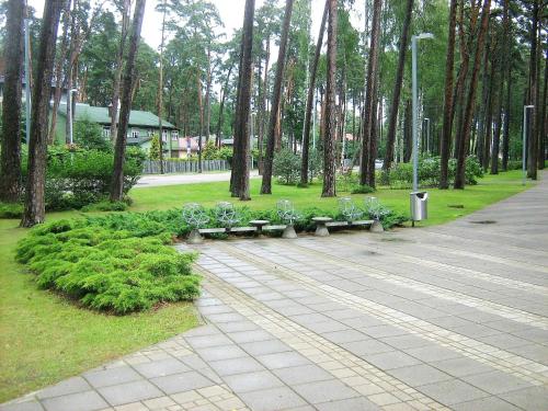 a row of benches in a park with trees at Apartament Dzintari in Jūrmala
