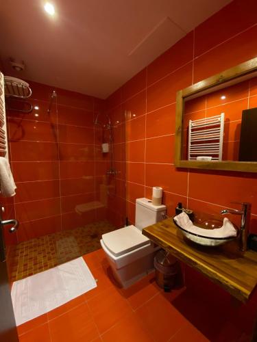 a bathroom with a toilet and a sink and a shower at Pensiunea El Monte SPA in Rucăr