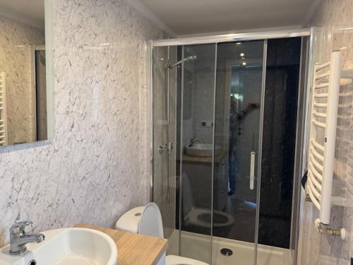 a bathroom with a shower and a toilet and a sink at XaBo nr 133 op 5 sterren camping De Pallegarste in Mariënberg