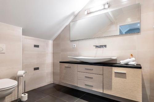 une salle de bain avec un lavabo et des toilettes dans l'établissement Disneyland Paris Maison de prestige, à Villeneuve-le-Comte