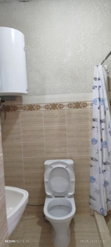 a bathroom with a white toilet and a sink at Kut Ordo in Bosteri
