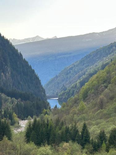 a view of a lake in the middle of a valley at Rustico Cascina Val Malvaglia in Malvaglia