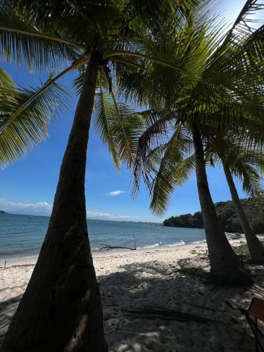 two palm trees on a beach with the ocean at Villas Roma Del Mar in Playa Naranjo