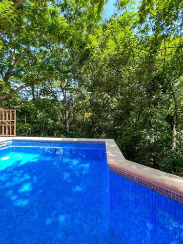 a blue swimming pool with trees in the background at Villas Roma Del Mar in Playa Naranjo