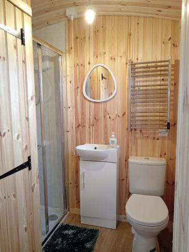 Koupelna v ubytování Corrib view cabin