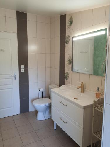 a bathroom with a toilet and a sink and a mirror at La Lauriére in Treize-Vents