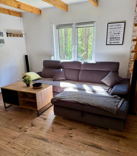 a living room with a leather couch and a table at Domek Chańcza in Chańcza
