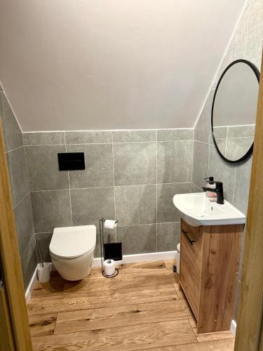 a bathroom with a toilet and a sink at Domek Chańcza in Chańcza