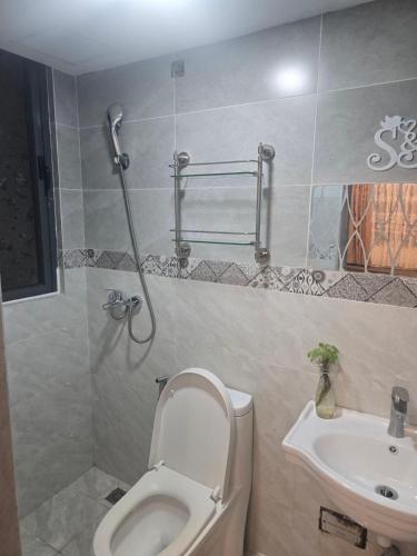 a bathroom with a toilet and a sink at Sea Charm Inn in Male City