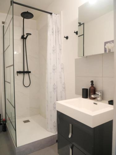 La salle de bains est pourvue d'un lavabo et d'une douche avec rideau de douche. dans l'établissement Les Berceaux Thermal & Parking privé, à Royat