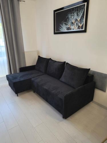 Χώρος καθιστικού στο Apartament Wierzyca Pelplin