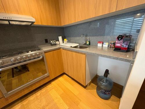 Η κουζίνα ή μικρή κουζίνα στο Londres #187