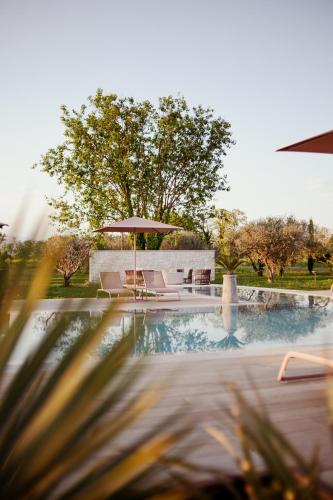 a swimming pool with chairs and an umbrella at Agriturismo Zapparè Farm Hotel in Trevignano