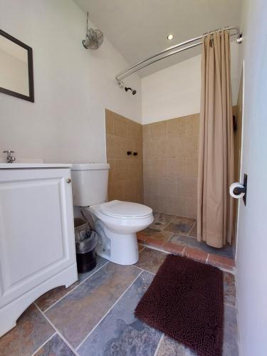 a bathroom with a toilet and a shower at Gateway Glamping in Gateway