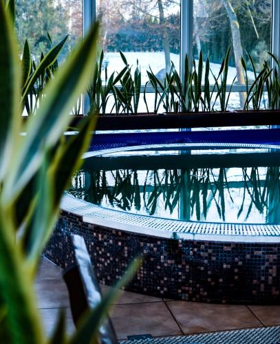 a pool with plants in front of a window at Atostogų namas su baseinu, jacuzzi ir pirtimi in Klaipėda