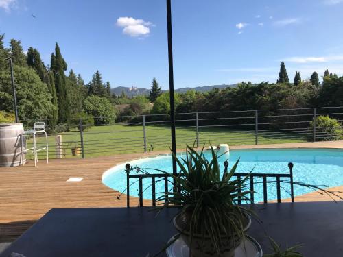 une plante en pot assise sur une table à côté d'une piscine dans l'établissement Le Petit Mas Rouge, à Saint-Rémy-de-Provence