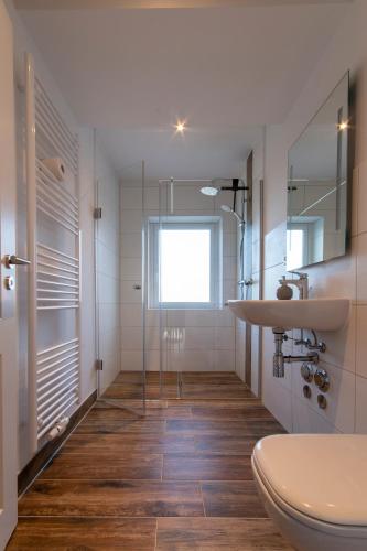 a bathroom with a shower and a sink and a toilet at Ferienhaus Wolke 7 in Sankt Andreasberg