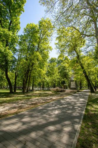 a path in a park with trees and grass at Ilidža Park Apartments in Sarajevo