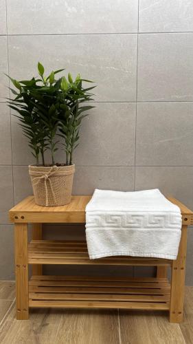 a plant sitting on a wooden table with a towel at Casa vacacional Ajo in Ajo