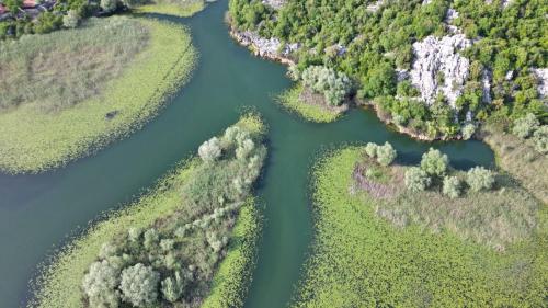 an aerial view of a river in a forest at Studio Apartment Cudo Nevidjeno in Karuč