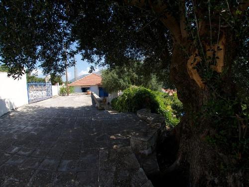 a large tree sitting next to a brick walkway at Auntie's Cottage with View, near Agia Efimia in Loukáta