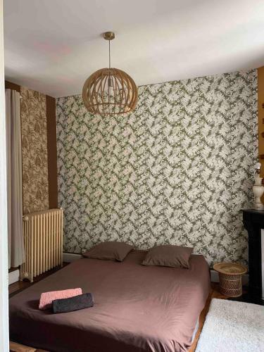 a bedroom with a bed and a chandelier at Chambres chez l'habitant - maison des années 30 in Troyes