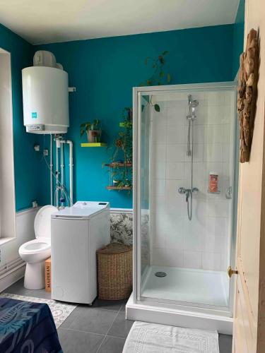 a bathroom with a shower and a toilet at Chambres chez l'habitant - maison des années 30 in Troyes