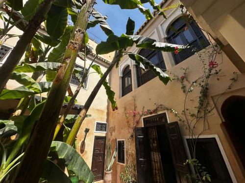 Jardin de l'établissement Riad Bamileke