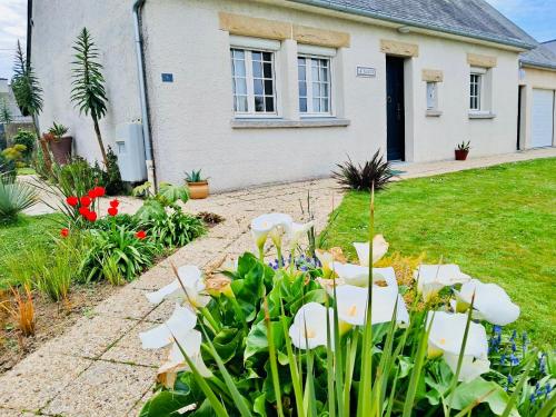 a garden with white flowers in front of a house at L’Apazys in Saint-Cast-le-Guildo