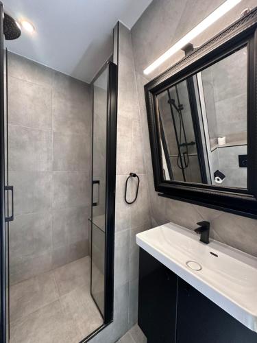 une salle de bain avec une douche, un lavabo et un miroir dans l'établissement Quai de Seine Tour Eiffel Trocadéro, à Paris