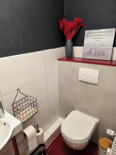 a bathroom with a white toilet and a sink at Harz-High-End-Ferienwohnung-Nicholas in Hahnenklee-Bockswiese