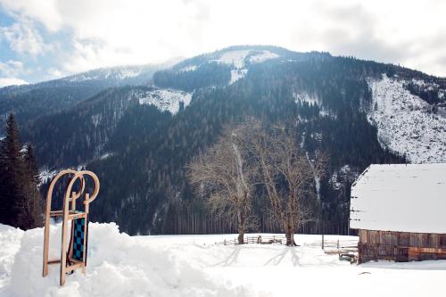 a ski rack in the snow in front of a mountain at Sandrisser-Hütte in Innerkrems