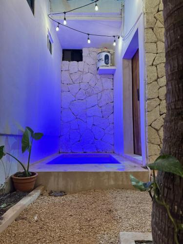 イスラ・ムヘーレスにあるCasa rocaの植物のある家の青いシャワー